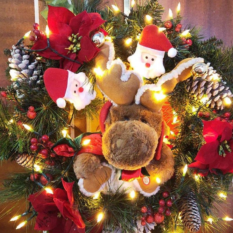 尖泡圣诞装饰灯串满天星露营帐篷户外氛围生日场景拉拉泡钨丝彩灯