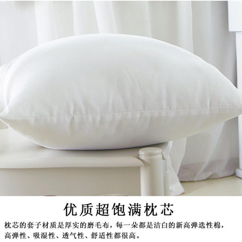 沙发抱枕芯子靠垫芯子腰枕头芯大靠枕芯4545/5555/6060/6565/4055