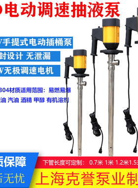 电动抽液泵HD-E2-V+SS304手提式插桶泵调速油桶泵耐腐柴油泵220V