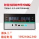 S5300智能数显调节器 数字显示报警器