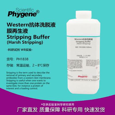 Western抗体洗脱液 膜再生液 Harsh Stripping 抗体剥离去除液