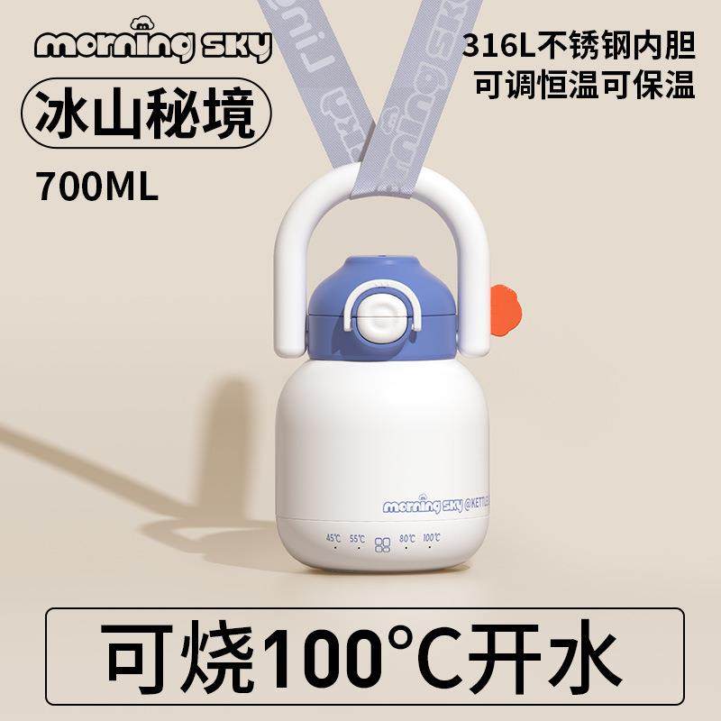 不锈钢插电加热保温恒温杯便携式外出调奶电热婴儿宝宝烧开水杯,家装灯饰光源,其它灯具灯饰,淘宝优惠券,粉丝福利购,淘宝优惠卷