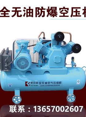 全无油空气压缩机无油空气压缩机气泵增压机高压