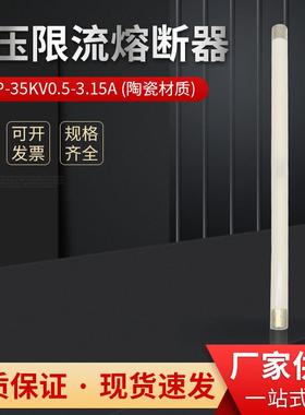 XRNP6-35~40.5KV/0.5A1A2A3A5A高压熔断器安装尺寸40*440mm