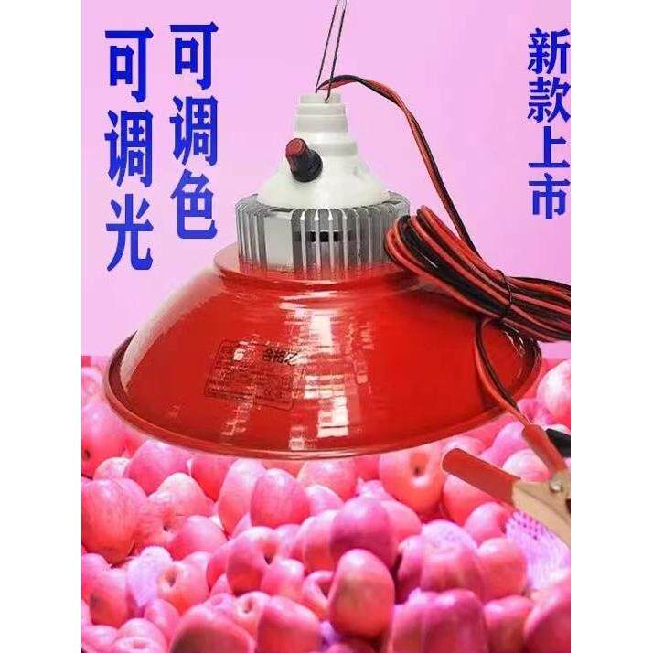 12v48v60v电瓶电动三轮车摆摊卖水果调色灯新款变色红光照明led灯