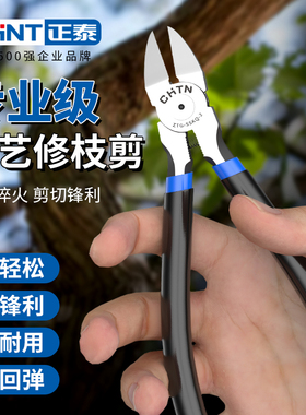 正泰园艺修枝剪盆景专用园艺剪刀水口钳叶芽剪刀花艺剪盆栽造型剪