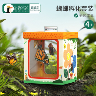 蝴蝶蛹可孵化活体昆虫饲养箱观察盒破茧成蝶儿童礼物6岁女孩玩具