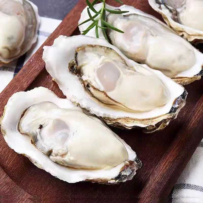 鲜活到家正宗4XL号乳山生蚝