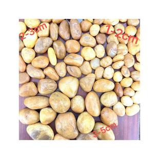 惠州珠三角黄色鹅卵石铺路石头庭院园林造景小石子鱼缸装饰水洗石