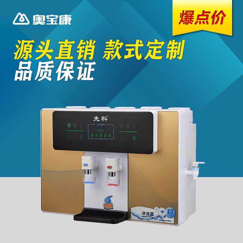 包邮 净水器家用直饮加热一体机RO反渗透冷热厨房壁挂式井水自吸
