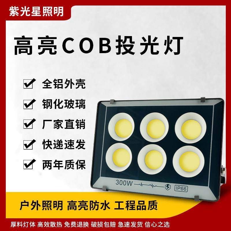 强光户外防水LED投射灯广告牌厂房球场室外泛光灯COB明月款投光灯,家装灯饰光源,投光灯/泛光灯,淘宝优惠券,粉丝福利购,淘宝优惠卷
