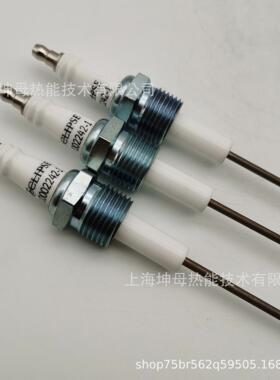 天时（Eclipse）点火电极100640-2