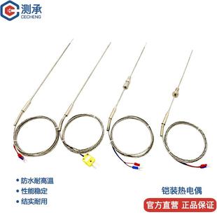 K型铠装 热电偶WRNK 191针型电热偶温度传感器可弯曲探头PT100