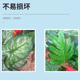 快速发货芦丁鸡造景植物装饰仿真绿植生态摆件铁树叶Y小波竹兰花