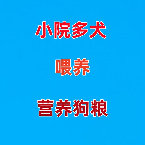 顺手拍一件附属品1份