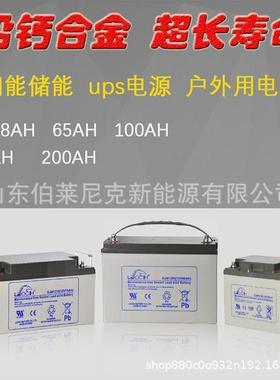 LEOCH理士蓄电池12V100AHDJM12100S铅酸蓄电池ups应急太阳能