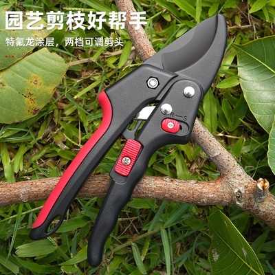 德国进口果树修枝剪树枝花艺花卉枝剪子粗枝剪枝园林工具修花剪刀