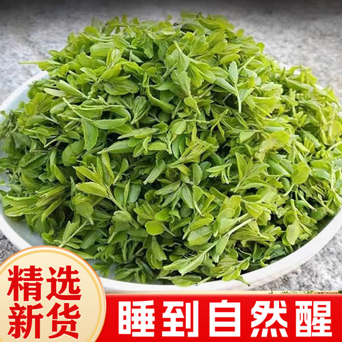 野生酸枣芽茶新货嫩芽手工炒