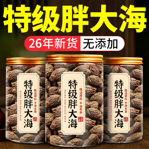 胖大海正品中药材甄选大粒