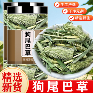 狗尾巴草中药材新鲜狗尾草干货明目煮泡水代茶毛虫草九尾草谷莠子