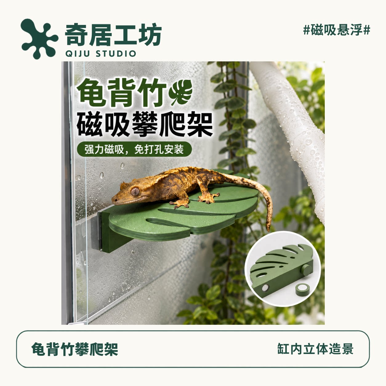 爬宠龟背竹磁吸悬浮攀爬支架鱼缸饲养缸造景睫角守宫角蛙攀爬架