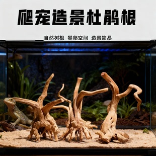 鱼缸造景杜鹃根沉木造景装饰树根小栖根枝类似小号杜鹃沉木树根