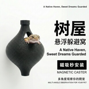 爬宠仿生攀爬架睫角守宫吸附式悬浮平台躲避屋爬宠晒台饲养缸造景