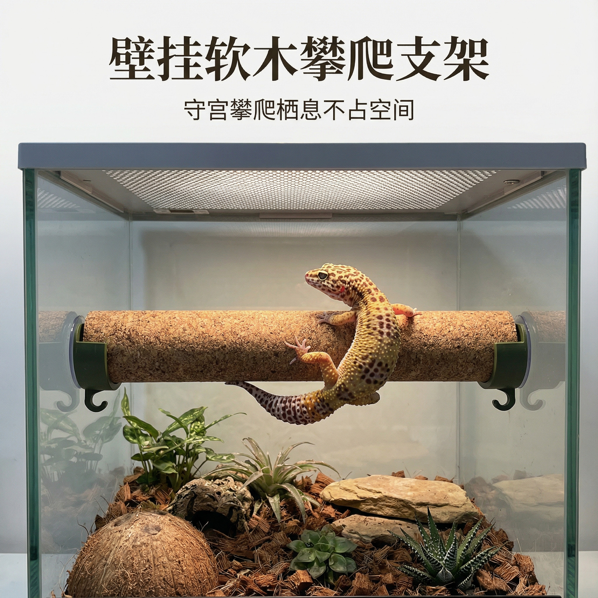 爬宠攀爬软木棒支架睫角守宫吸盘磁吸悬浮平台躲避屋饲养缸造景