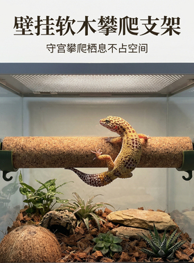 爬宠攀爬软木棒支架睫角守宫吸盘磁吸悬浮平台躲避屋饲养缸造景