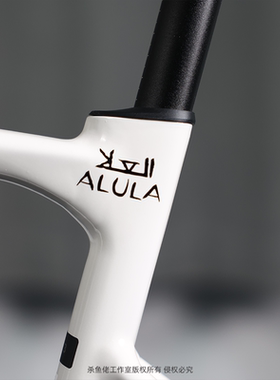 环法JAYCO ALULA捷安特车队logo贴纸公路自行车车架装饰遮瑕防水