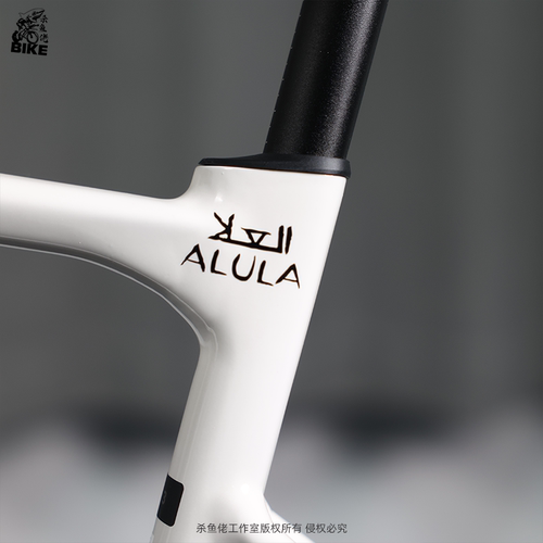 环法JAYCO ALULA捷安特车队logo贴纸公路自行车车架装饰遮瑕防水