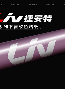 适用Liv丽以芙BeLiv Alight Meme Langma Envi全系logo涂装改色