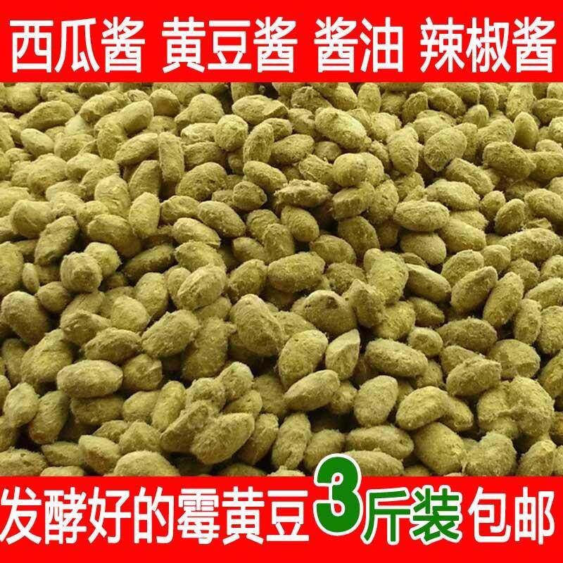 现货河南商丘新捂黄豆霉黄豆炒熟发酵小黄豆做酱黄豆西瓜酱辣椒酱