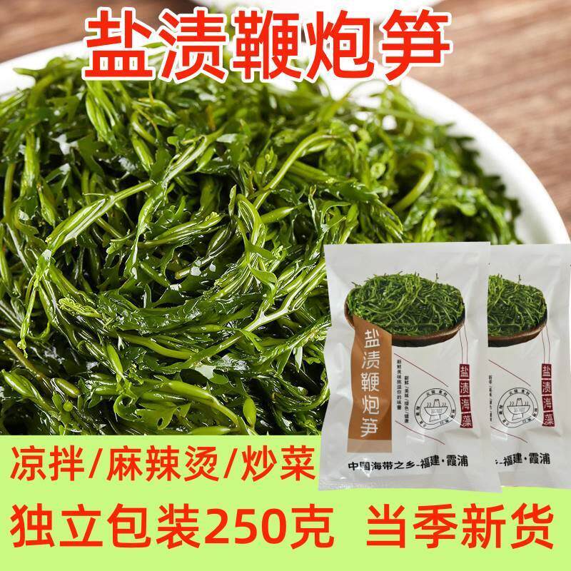 现货鞭炮笋长寿菜盐渍马尾藻羊栖菜海藻海菜火锅食材炮仗笋海草鞭