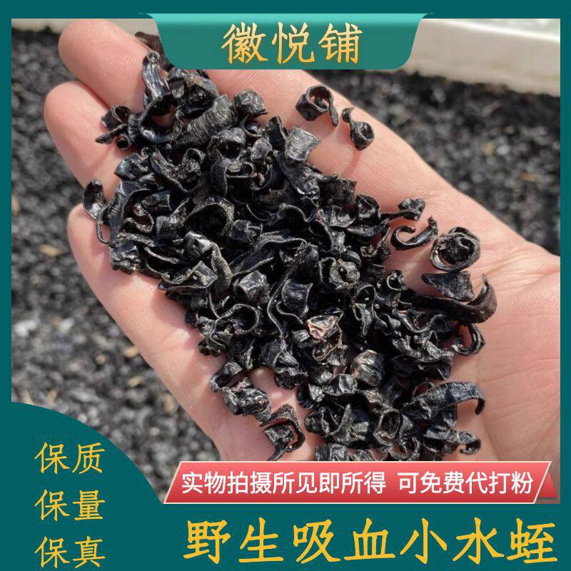 野生吸血小水蛭中药材正品野生吸血小水蛭东北小黑条纯天然晒干