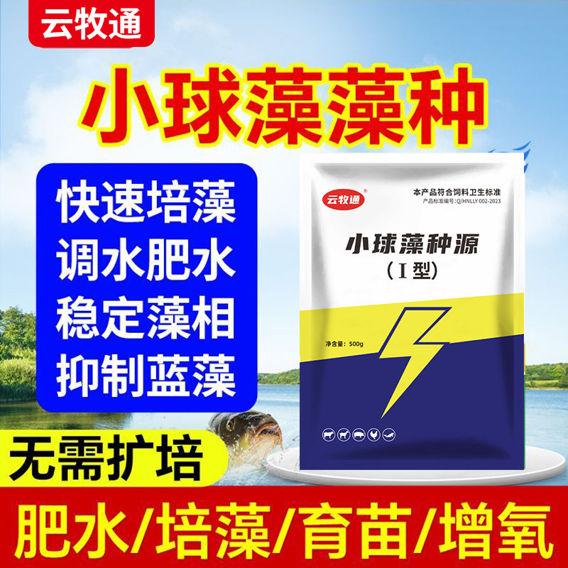 小球藻藻种水产养殖专用虾蟹鱼塘水库肥水培藻改良水质调水增氧