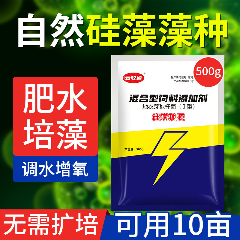 硅藻藻种水产养殖虾蟹鱼塘肥水