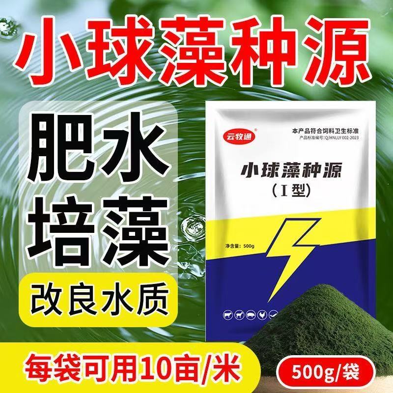 小球藻藻种水产养殖专用虾蟹鱼塘水库肥水培藻改良水质调水增氧