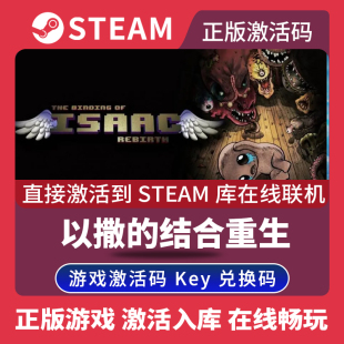 以撒 迷宫探索游戏全DLC中文PC游戏 The 入库 steam正版 结合重生激活码 Binding Rebirth 像素图形 Isaac