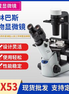 奥林巴斯倒置显微镜CKX53 CKX41 CKX31的升级款学校实验