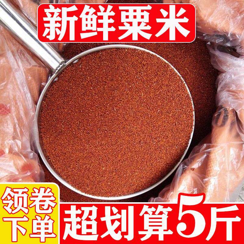/广西自磨米粉粟米粟粉拳头龙爪鸭脚粟掺子宝宝枕头五谷杂粮煮米
