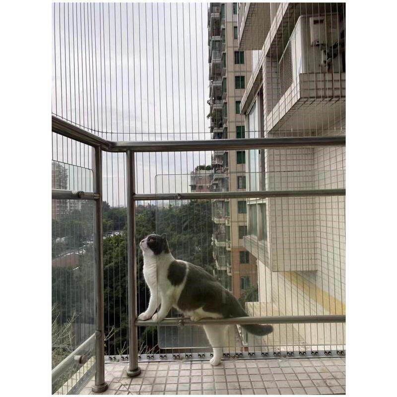 封阳台防护网隐形防盗网316不锈钢丝高层窗户儿童猫窗子护栏