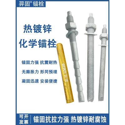 热镀锌化学螺栓高强度热浸锌倒锥形化学锚栓膨胀螺丝M12M16M20M24