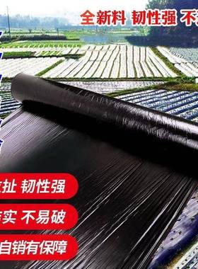 黑色地膜农用种植菜园保湿保温防长草农田果树除草抗老化塑料薄膜