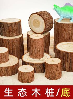 底座小木桩原木摆件木头拍摄道具装饰树桩幼儿园手工diy材料杉木