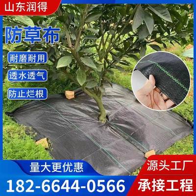 防草布园林大棚农用除草布全新料透水黑色PP编织布打孔抗老化地布