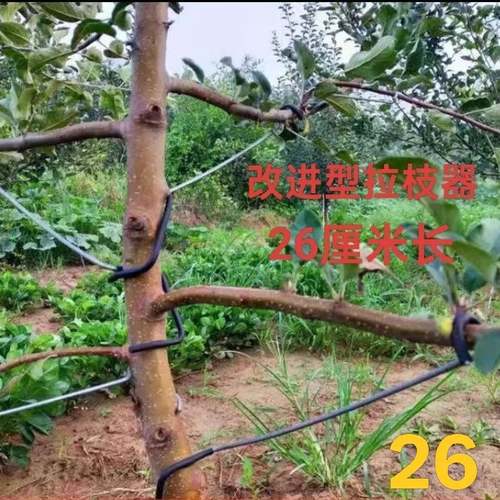 果树拉枝定型器别枝器压枝开角改进型树枝拨弯神器农用拉直器园林