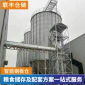 新品 粮食钢板仓热镀锌储存稻谷2000吨立筒仓储备粮库散粮储存仓