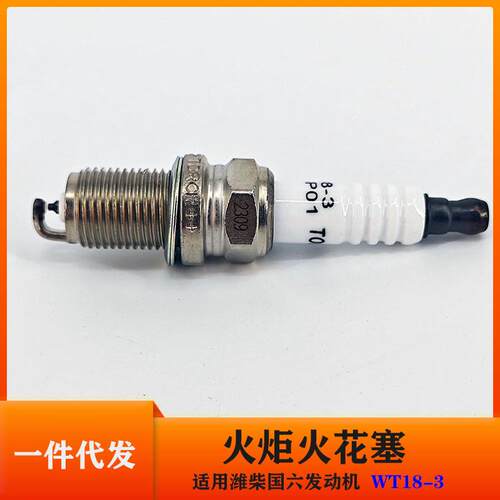 火炬火花塞潍柴国六发动机适用WT18-3汽车通用电源点火器
