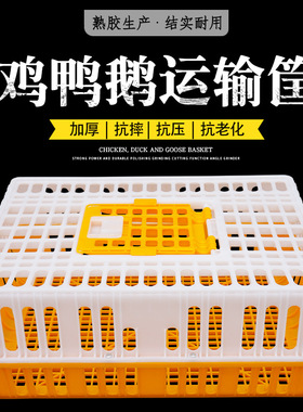 鸡笼运输笼塑料家禽周转箱筐成鸡鸭鹅鸽子兔笼养殖笼养殖箱运输筐